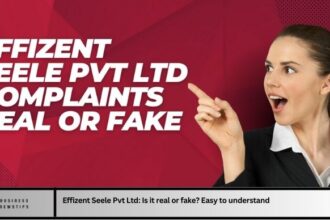 Effizent Seele Pvt Ltd