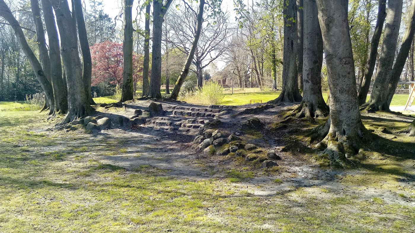 Tree-lined pathways winding through a city park with benches and soft morning light.