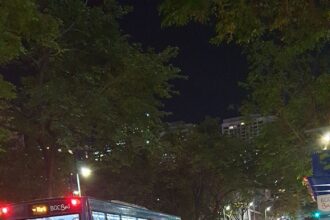 Cyclists ride safely along a protected bike lane separated from car traffic.