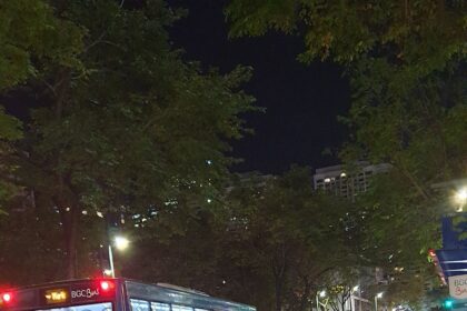 Cyclists ride safely along a protected bike lane separated from car traffic.